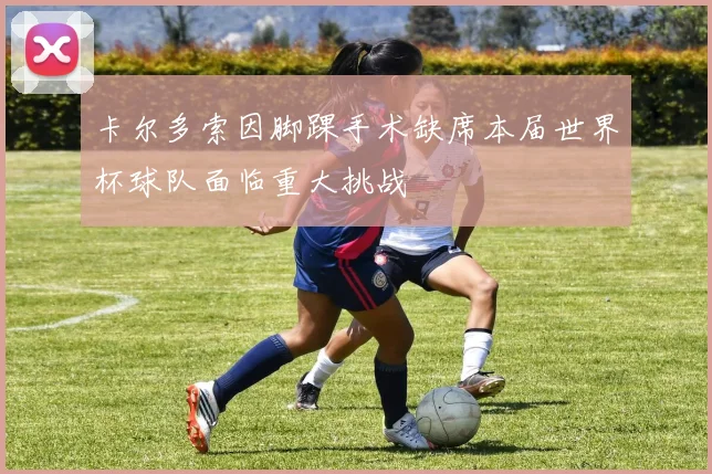 卡尔多索因脚踝手术缺席本届世界杯球队面临重大挑战
